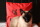 Kissenbezug Katze rot 40*40