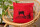 Bio-Kissenbezug Hirsche rot 40x40 cm