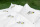 Bio-Bettwäsche Kohlmeisen, weiß 135*200 & 80*80 cm