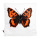 Bio-Kissenbezug Schmetterling Großer Fuchs, weiß 40*40 cm