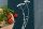 Handgewebtes Geschirrtuch Schafgarbe petrol