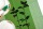 Handgewebtes Geschirrtuch Brennnesseln leaf green