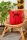 Bio-Kissenbezug Schierling, rot 40x40 cm