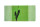 Bio&Fair-Trade Geschirrtuch Löwenzahn, leaf green