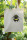 Fashion-Bag Erdhummel natur