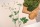 Handgewebtes Geschirrtuch Lovely Unkraut natur