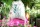 Bio-Turnbeutel Wilde Wiese natur