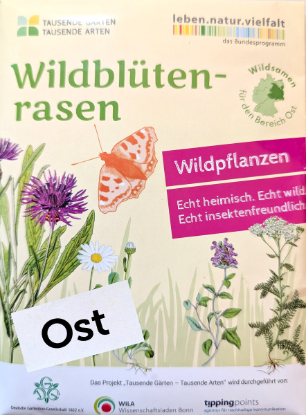 Wildblütenrasen OST