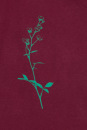 Frauenshirt Strauchrose ruby *Einzelstück...