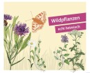 Wildblütenrasen WEST