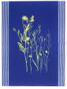 Geschirrtuch Wilde Wiese blau