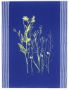 Handgewebtes Geschirrtuch Wilde Wiese blau