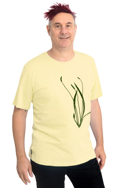 Männershirt Kenia Spitzwegerich gelb XL