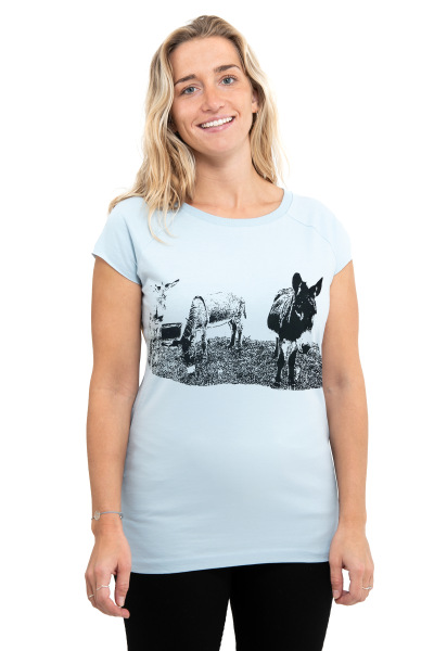 Frauenshirt Raglan Shirt Kenia Eselcombo hellgrau M